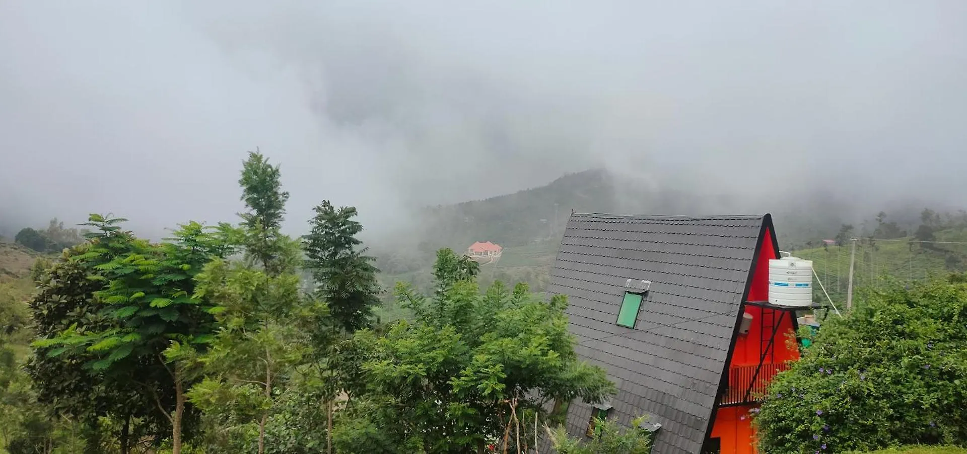 Greenlush Pīrmed فيلة