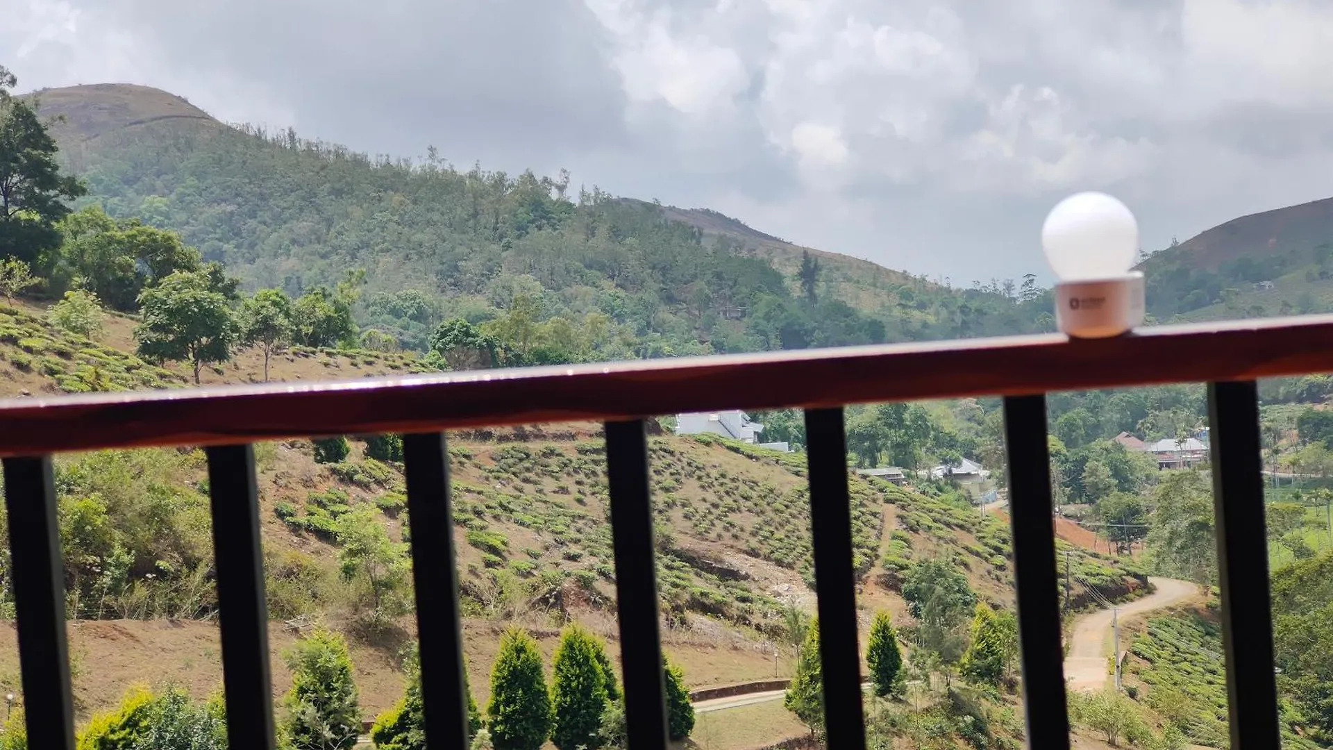 فيلة Greenlush Pīrmed