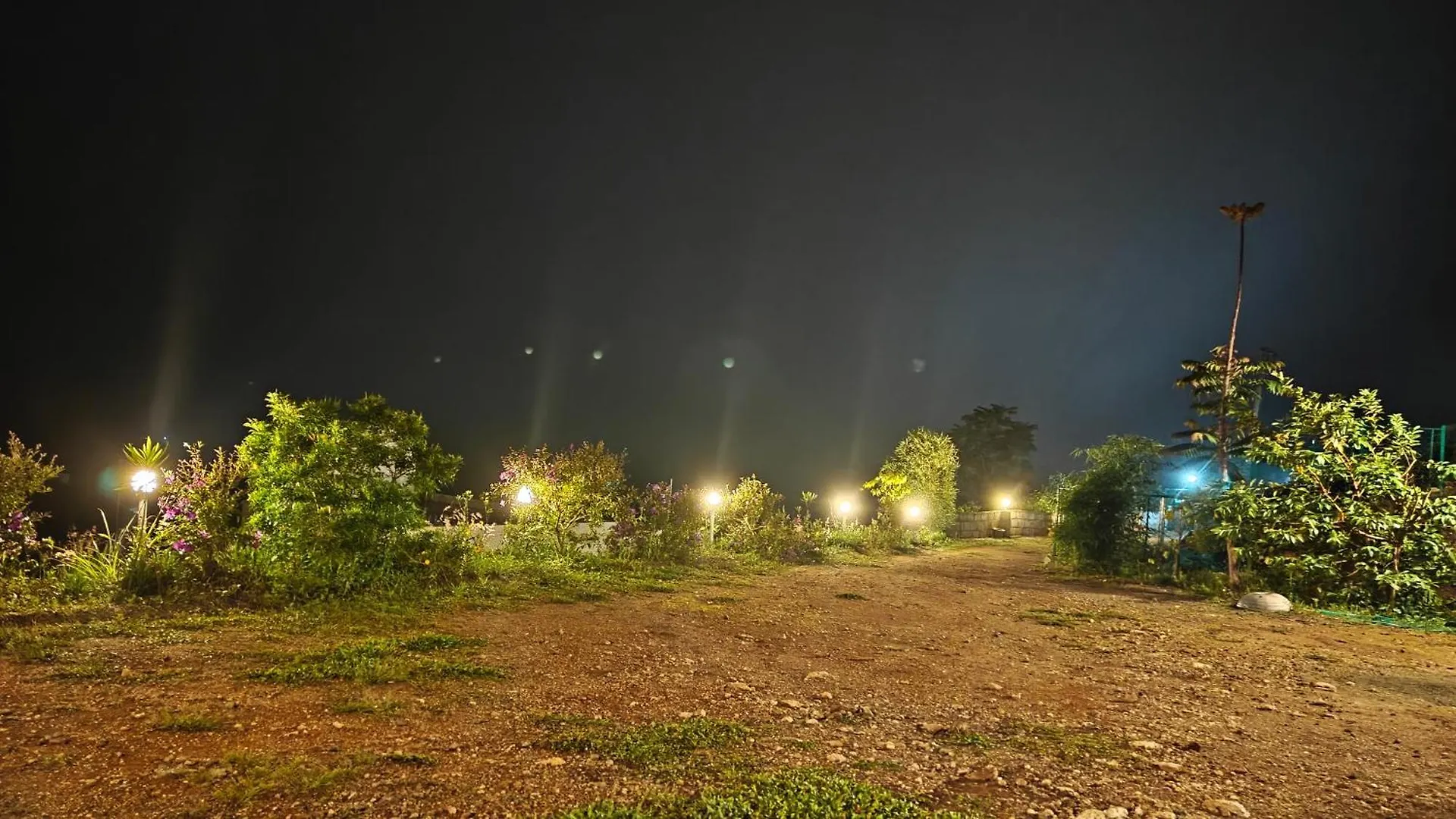Greenlush Pīrmed فيلة